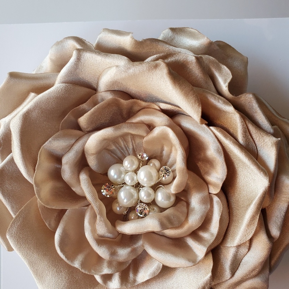 Champagne hair clip